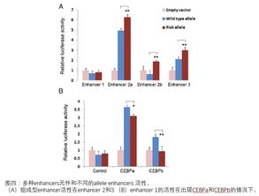 精品论文 如何利用分子实验验证gwas发现的snp